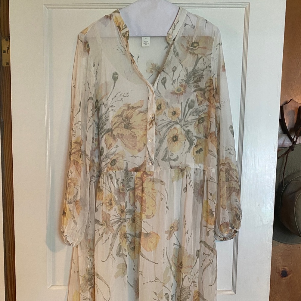 H&M Floral and Flowy Maxi Dress; 2 or XS